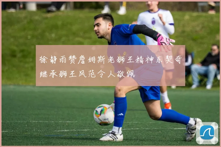徐静雨赞詹姆斯老狮王精神东契奇继承狮王风范令人敬佩