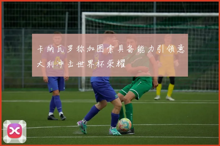 卡纳瓦罗称加图索具备能力引领意大利冲击世界杯荣耀