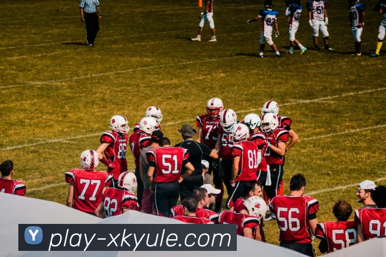 星空娱乐平台生态图